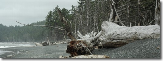 Rialto Beach, Olympic National Park, Washington