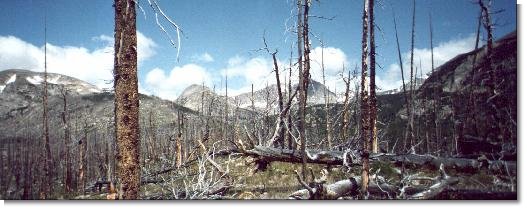 Rocky Mountain National Park, Colorado