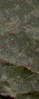 Non-Foliated texture