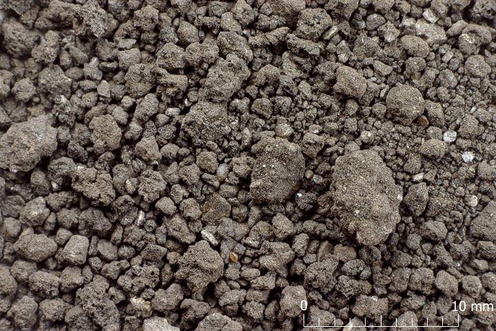 Image of Volcanic Materials Sample #5