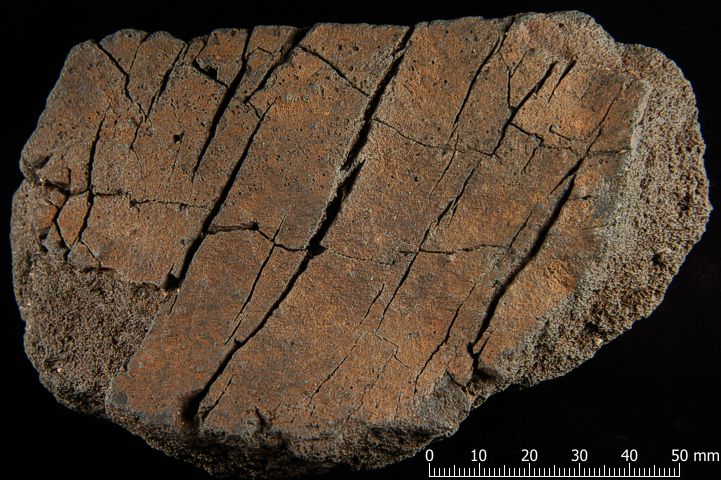 Image of Volcanic Materials Sample #6