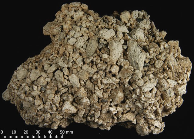 Image of Volcanic Materials Sample #13
